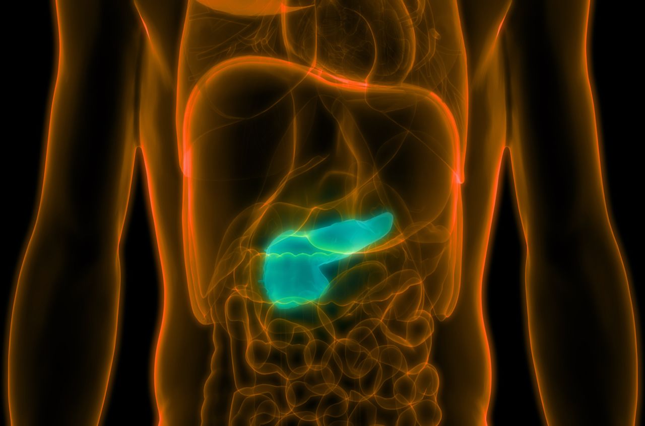 New Advance Drug To Treat Pancreatic Cancer The Bioscientist