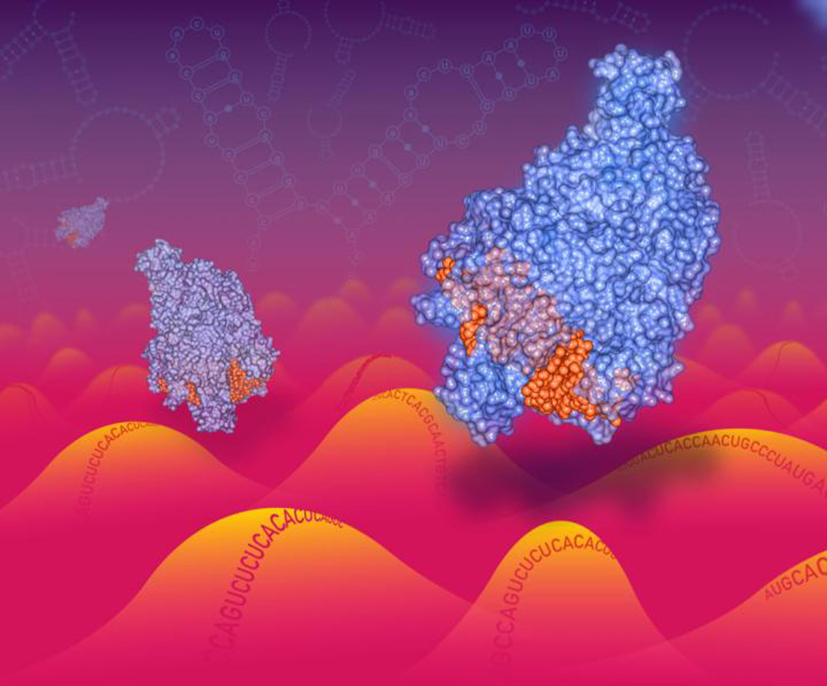 CRISPR technology